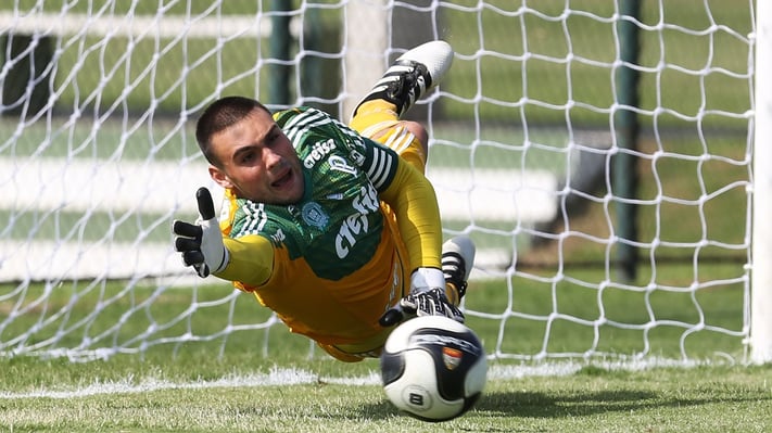 palmeiras-as-maiores-revelacoes-daniel