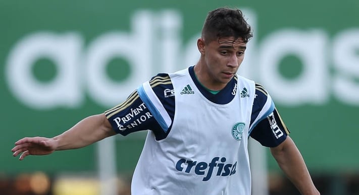 palmeiras-as-maiores-revelacoes-joao-pedro