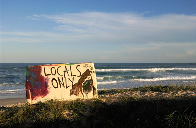 locals-only-surfe