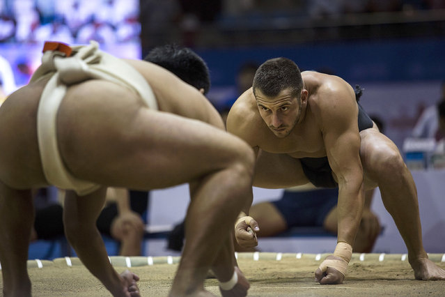 sumo-artes-marciais-pratica